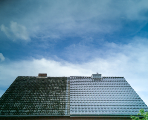 dakpannen reinigen dakpannen reinigen