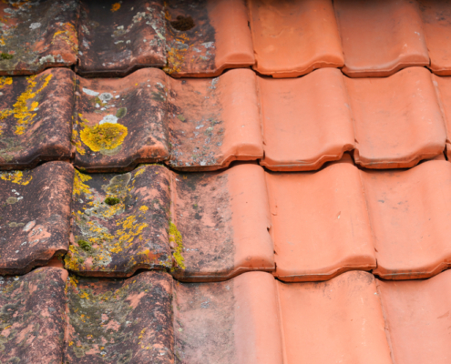 dakpannen reinigen dakpannen reinigen